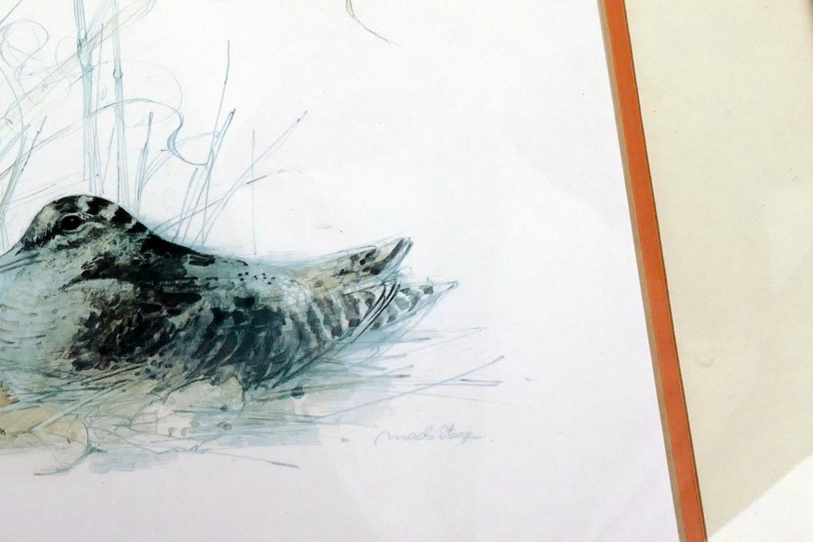 Mads Stage Framed Print Common Snipe bird nesting 11X11" signed