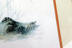 Mads Stage Framed Print Common Snipe bird nesting 11X11" signed