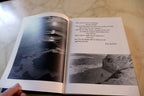 1968 Yearbook  University of Santa Clara, College, The Redwood USA