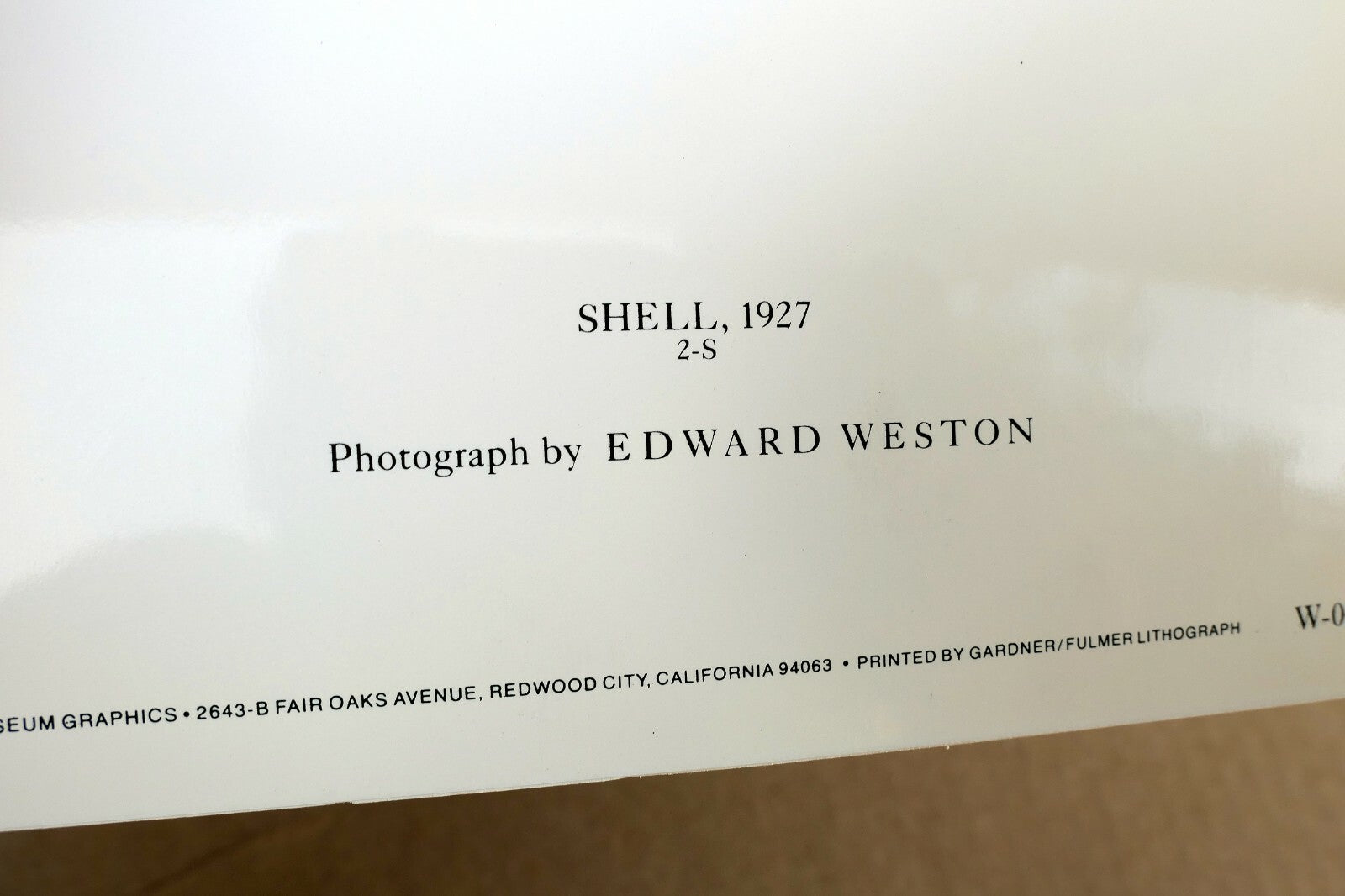 Shells 1927 2-S Photograph by Edward Weston W-007-85 Nautilus greeting card