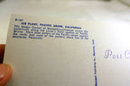 Ice Plant Seascape Landscape Pacific Grove California USA Postcard 1970's
