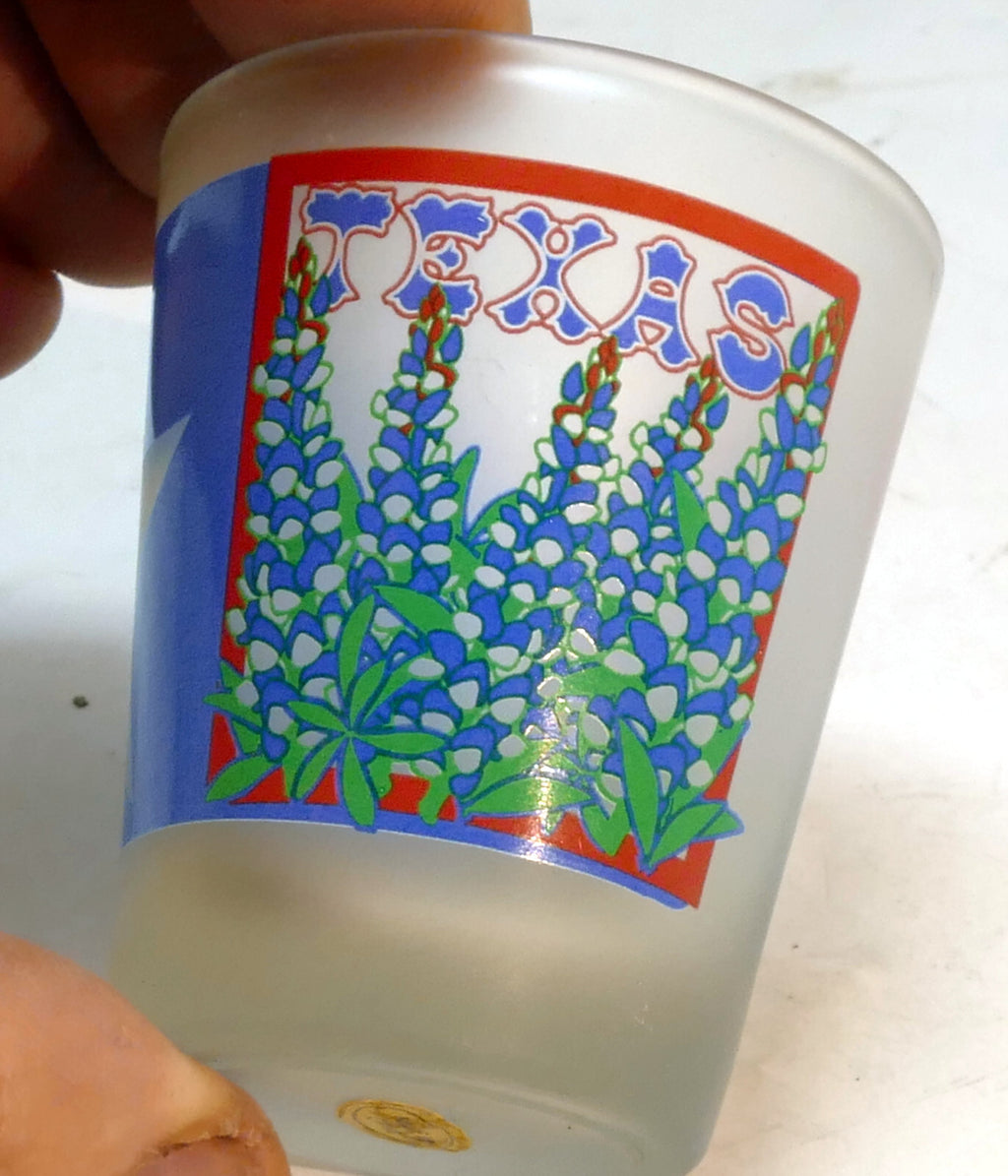 TEAXS Lone Star State  USA Shot Glass Souvenir blue red green