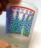 TEAXS Lone Star State  USA Shot Glass Souvenir blue red green