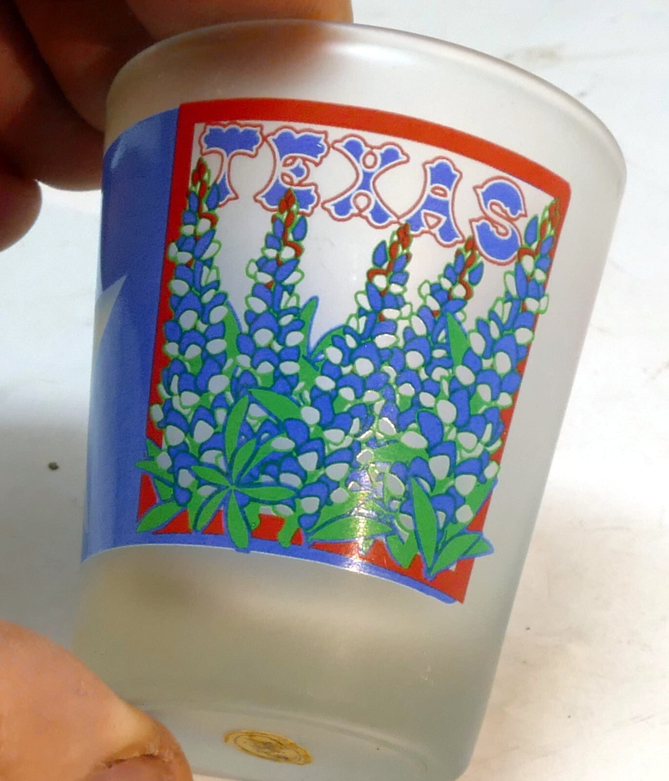 TEAXS Lone Star State  USA Shot Glass Souvenir blue red green