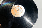 SONGBIRD NU9730 LP Vinyl McLean Sayer Abba James Taylor 1981