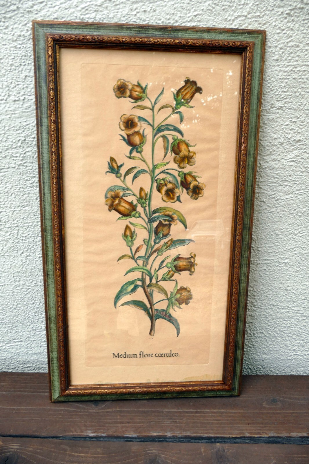 Edizioni Ponte Medium Flore Coeruleo Botanical Floral Print 14X25" Framed
