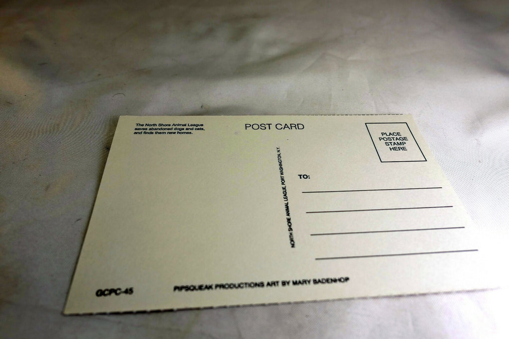 Just For You Get Well Postcard Animal Shelter North Shore League Dog Cat