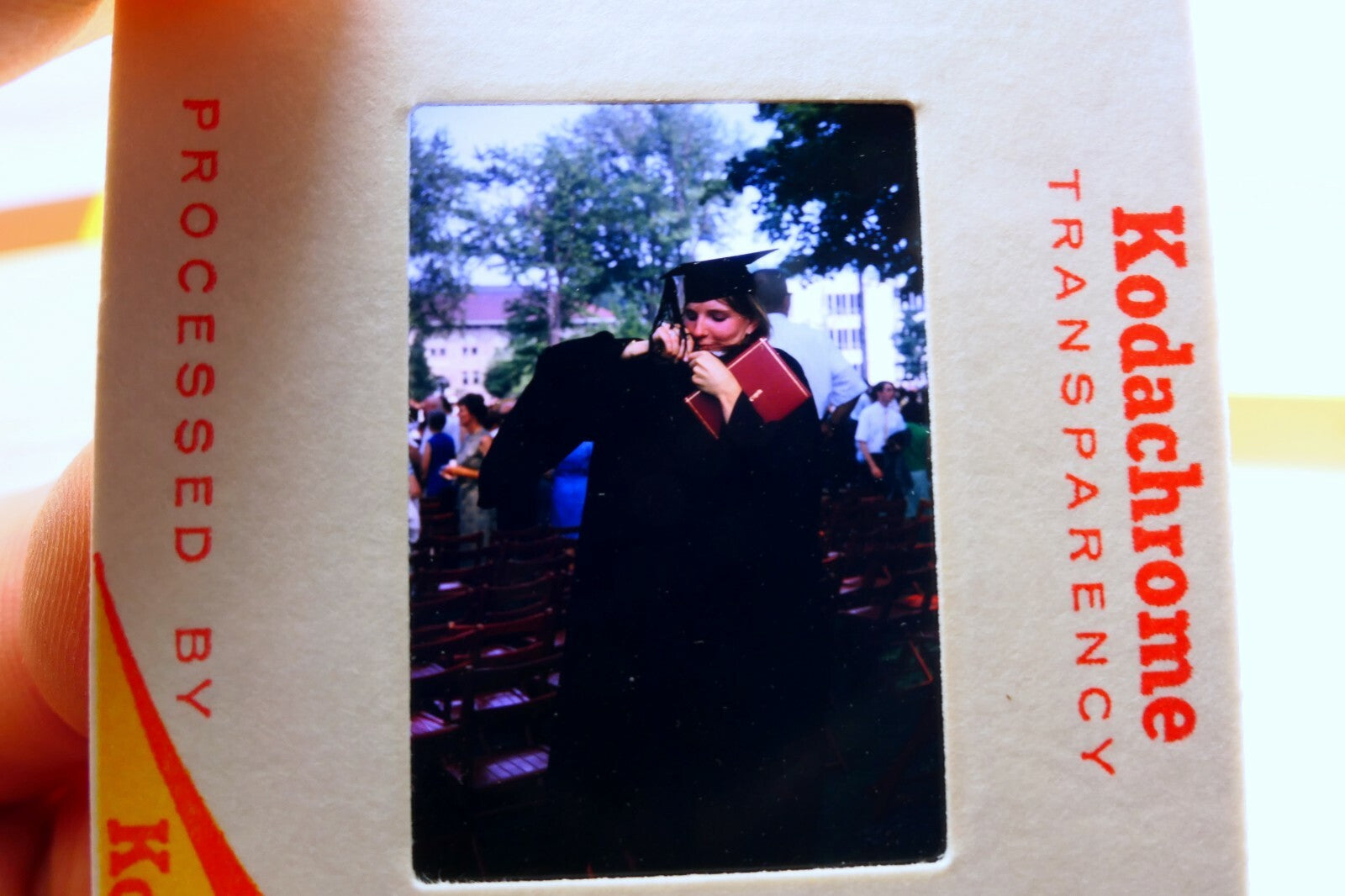 Kodak Slides 1968 Jennings Law UC Berkeley school graduation  pictures