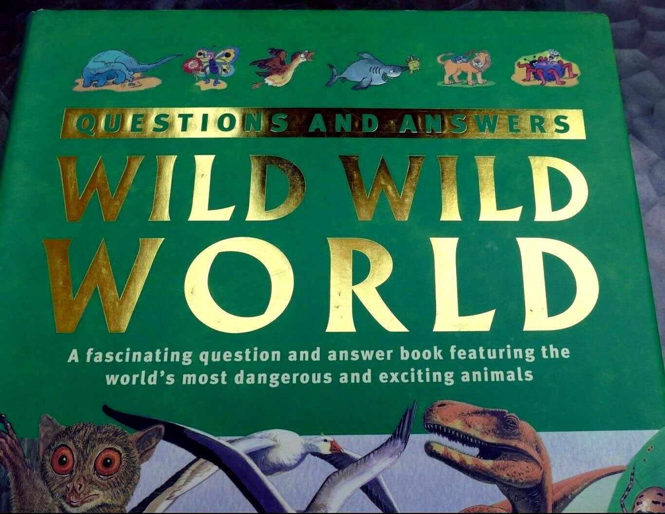 Questions and answers wild wild world (hardcover) book dangerous exciting animal