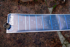 "Perspective of Time" Universe Galaxy Science Print Poster Time Chart Evolution