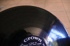 The Dorsey Orchestra - A Toast To Tommy And Jimmy Dorsey, VINYL LP