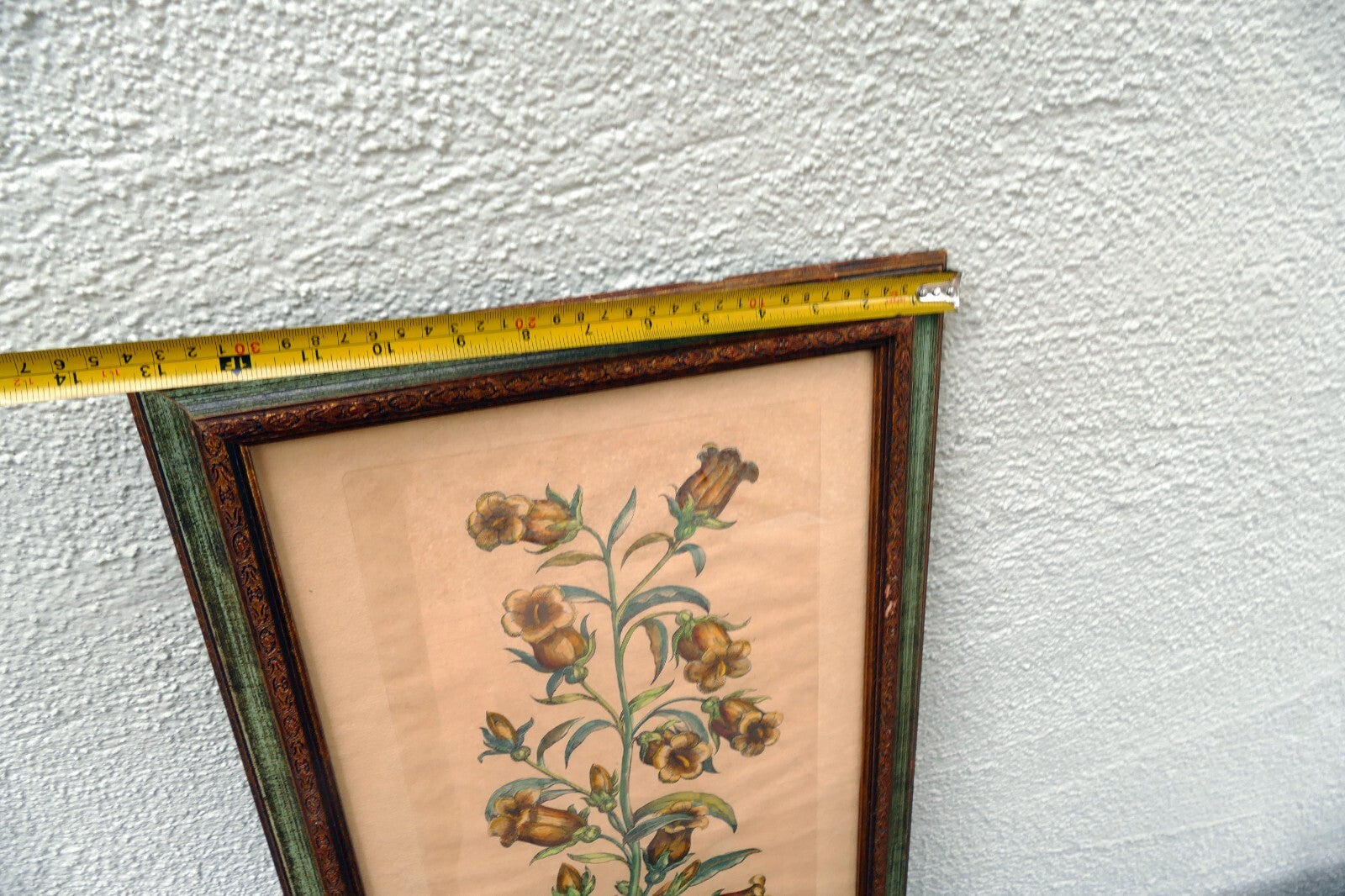 Edizioni Ponte Medium Flore Coeruleo Botanical Floral Print 14X25" Framed