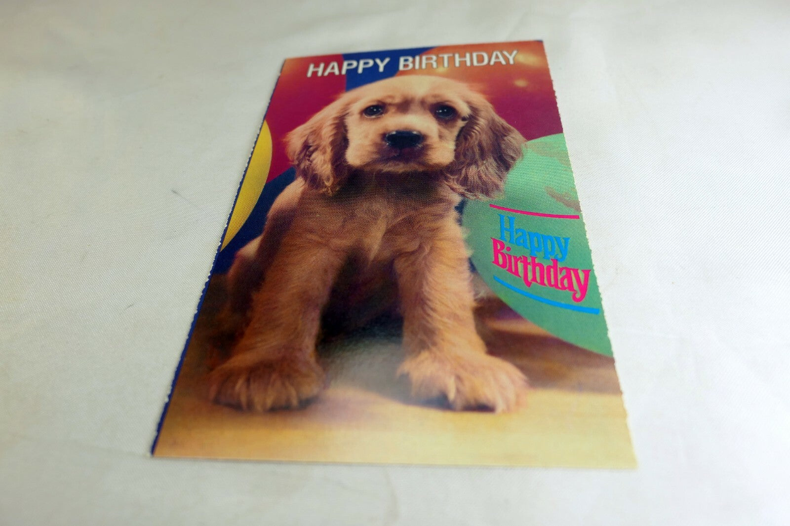 Happy Birthday Postcard Animal Shelter North Shore League Puppy golden retriever