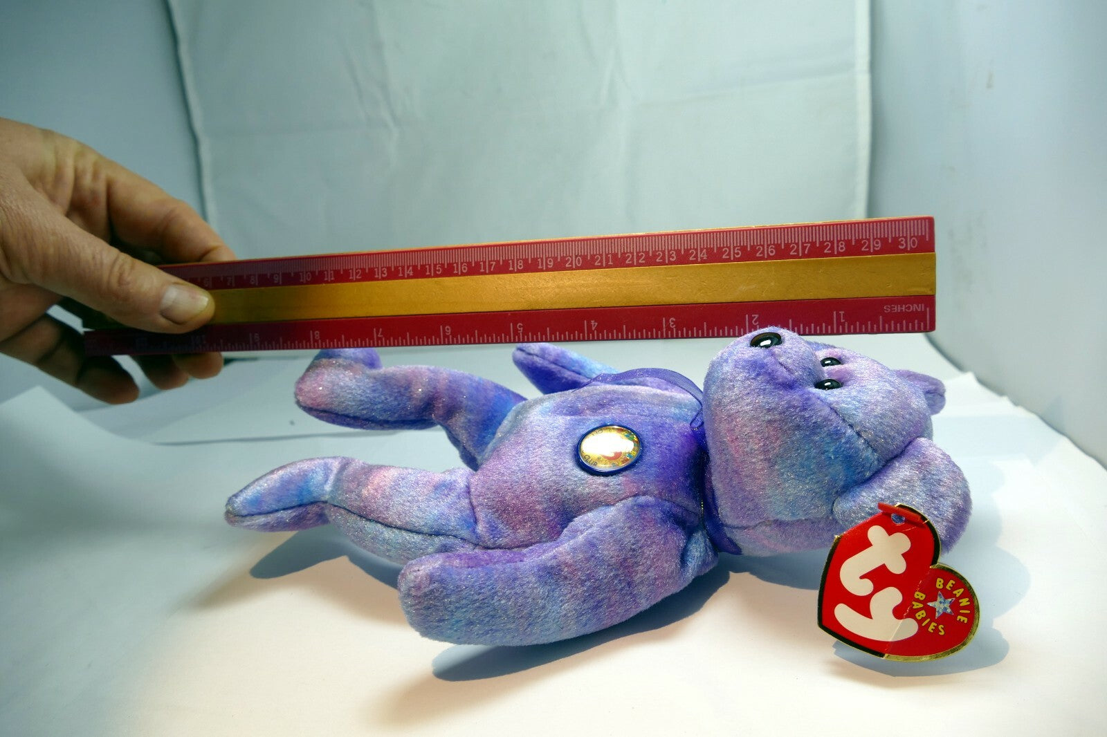Retired Ty Beanie Babies Clubby IV  Bear  Beanbag Plush Stuffed Toy 2001