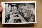 Wien - Schönbrunn Schloss Castle hallway postcard Austria 1930's  - unposted