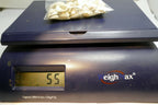 lot of White Ark Shell Seashell bag of 50gr 1.8oz small bag for aquarium decor