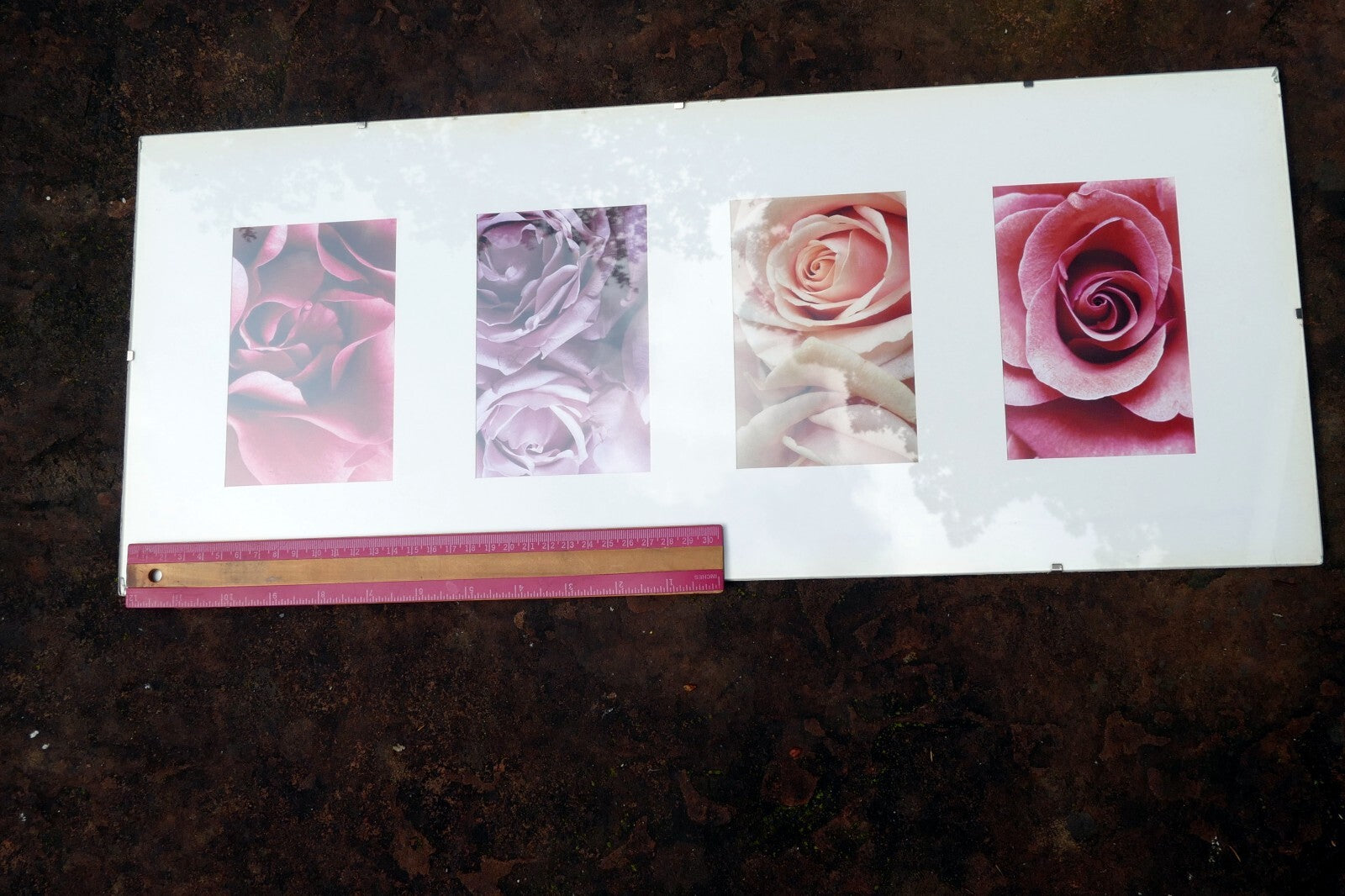 Rose photo art by Christian Sarramon framed with glass 24X10" large collage