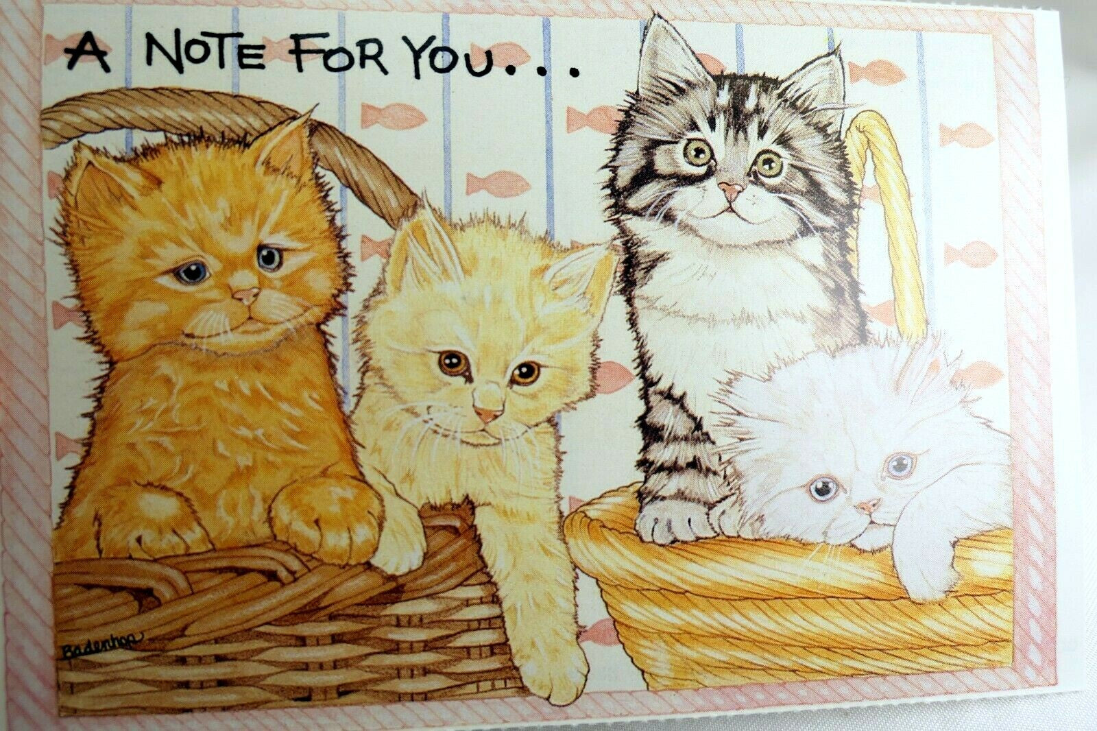 Note for you postcard animal shelter north shore league adopt a pet kitten cat