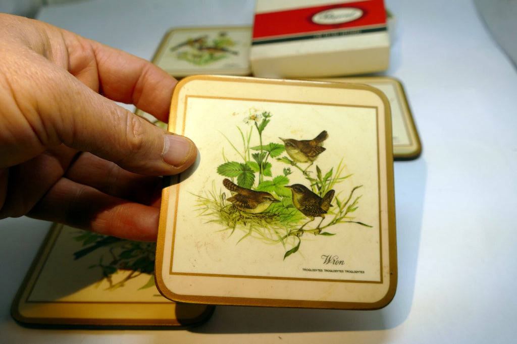 Pimpernel Beverage Coasters Wild Birds Set of 5 Square 4"  England European pack