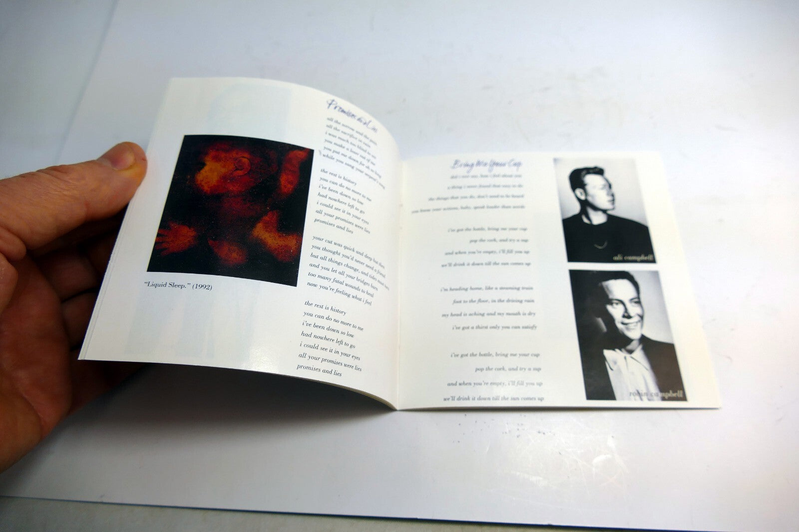INLAY Cover ART Only NO Case, or CD included - UB40 Promises and Lies