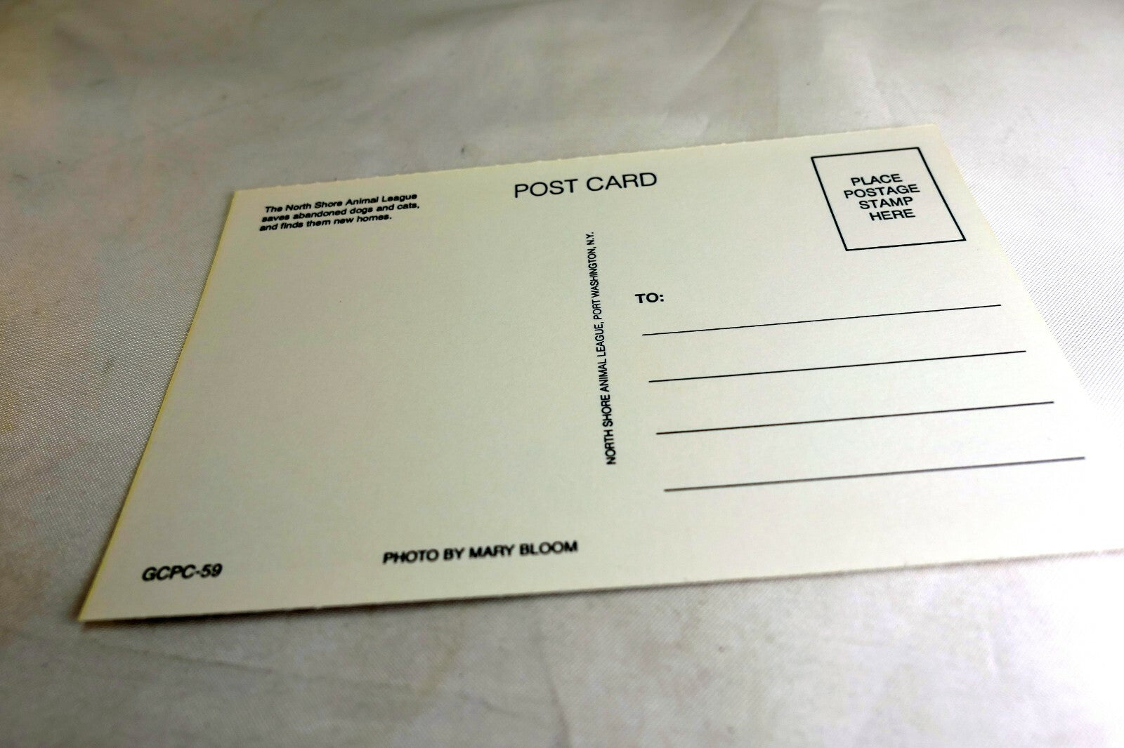 Postcard Animal Shelter North Shore League Adopt a Pet Kitten Cat vintage 1980's