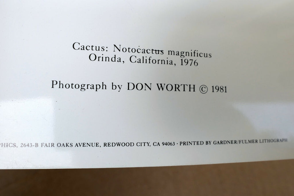 Cactus Notocactus Magnificus Photograph 1969 Don Worth Greeting Card D-002
