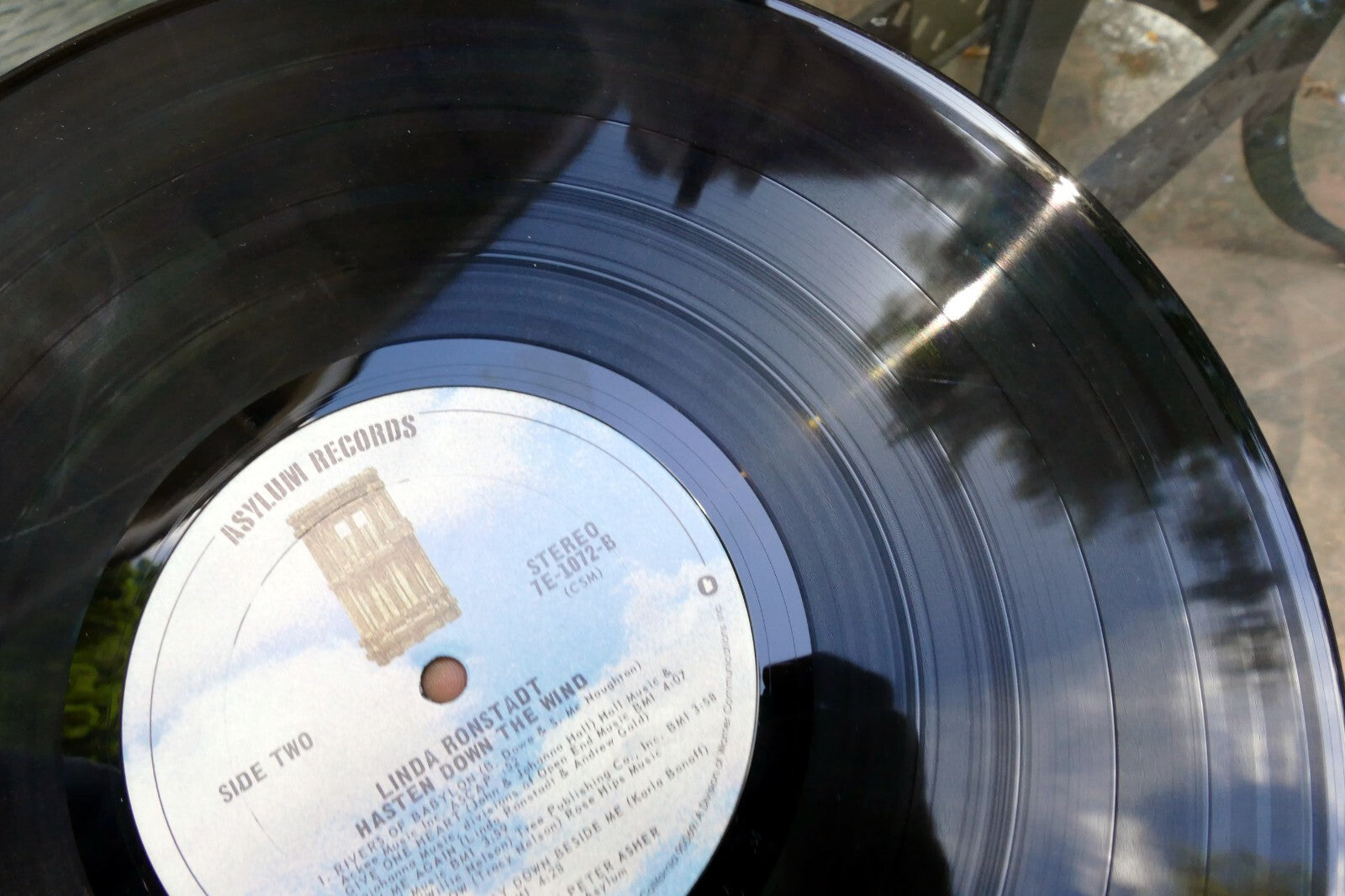 Linda Ronstadt Hasten Down The Wind Vinyl LP 7E-1072 1976 Elektra/Asylum 0698