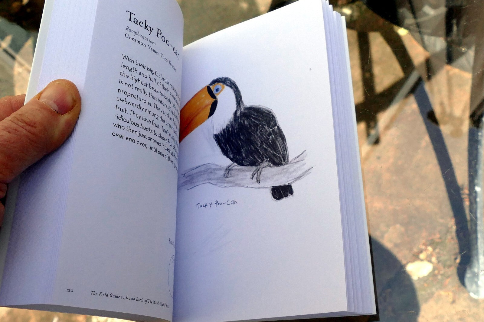 The Field Guide to Dumb Birds of the Whole Stupid World (Paperback or Softback)