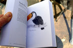 The Field Guide to Dumb Birds of the Whole Stupid World (Paperback or Softback)