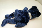 TY Beanie Babies "Pops" USA 2002 Teddy Bear 8" new with tag Daddy Father