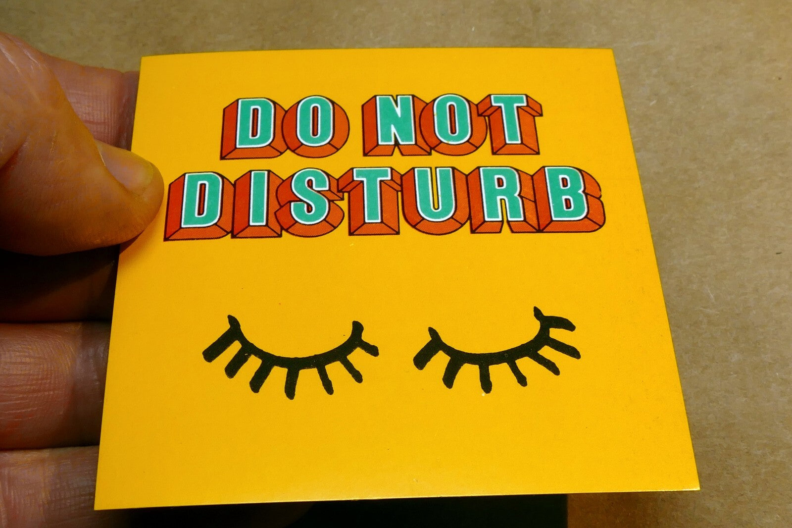 Singapore Airlines Airplane " Do Not Disturb" Note