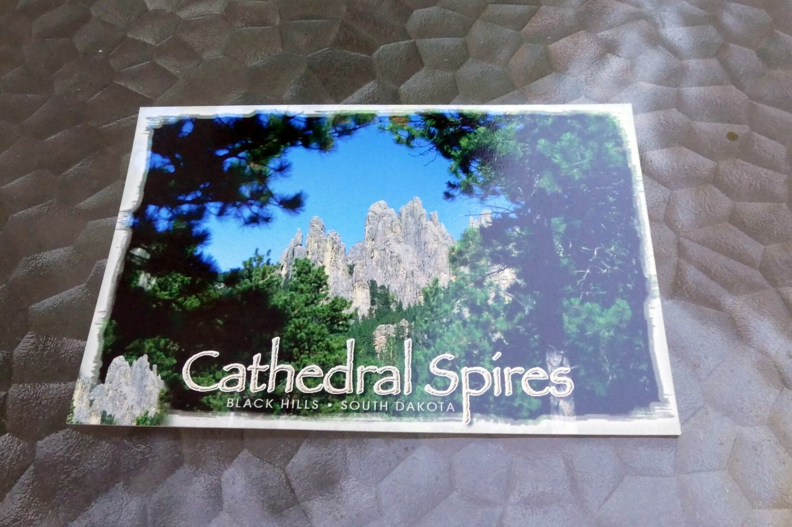 Cathedral Spires  Black Hills South Dakota Postcard