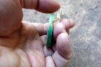 Eagle Pendant Necklace Native American south west USA stone etched