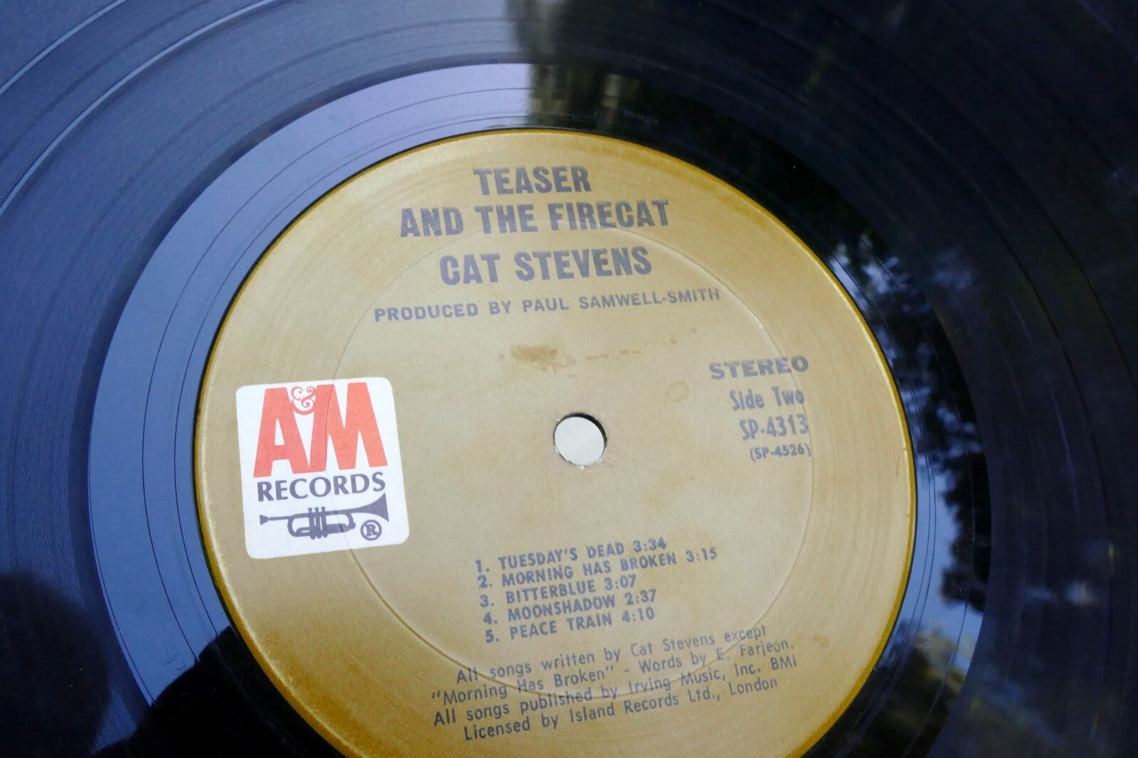 Cat Stevens Teaser And The Firecat 1971 A&M Records  Vinyl