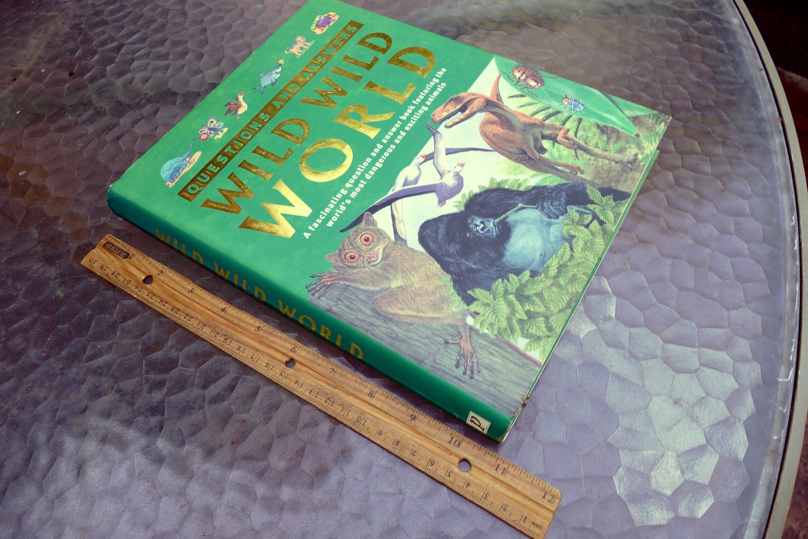 Questions and Answers Wild Wild World (Hardcover) Book Dangerous Exciting Animal