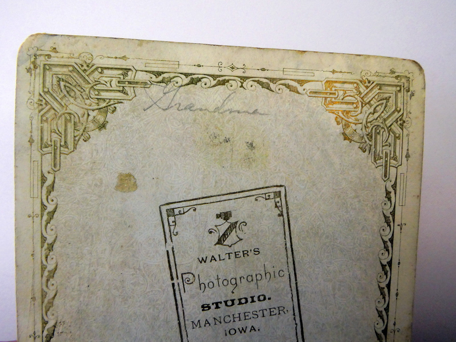 Picture of  Lady ANTIQUE Photograph 6X4" Silver Gel Print Walter's Studio 1900