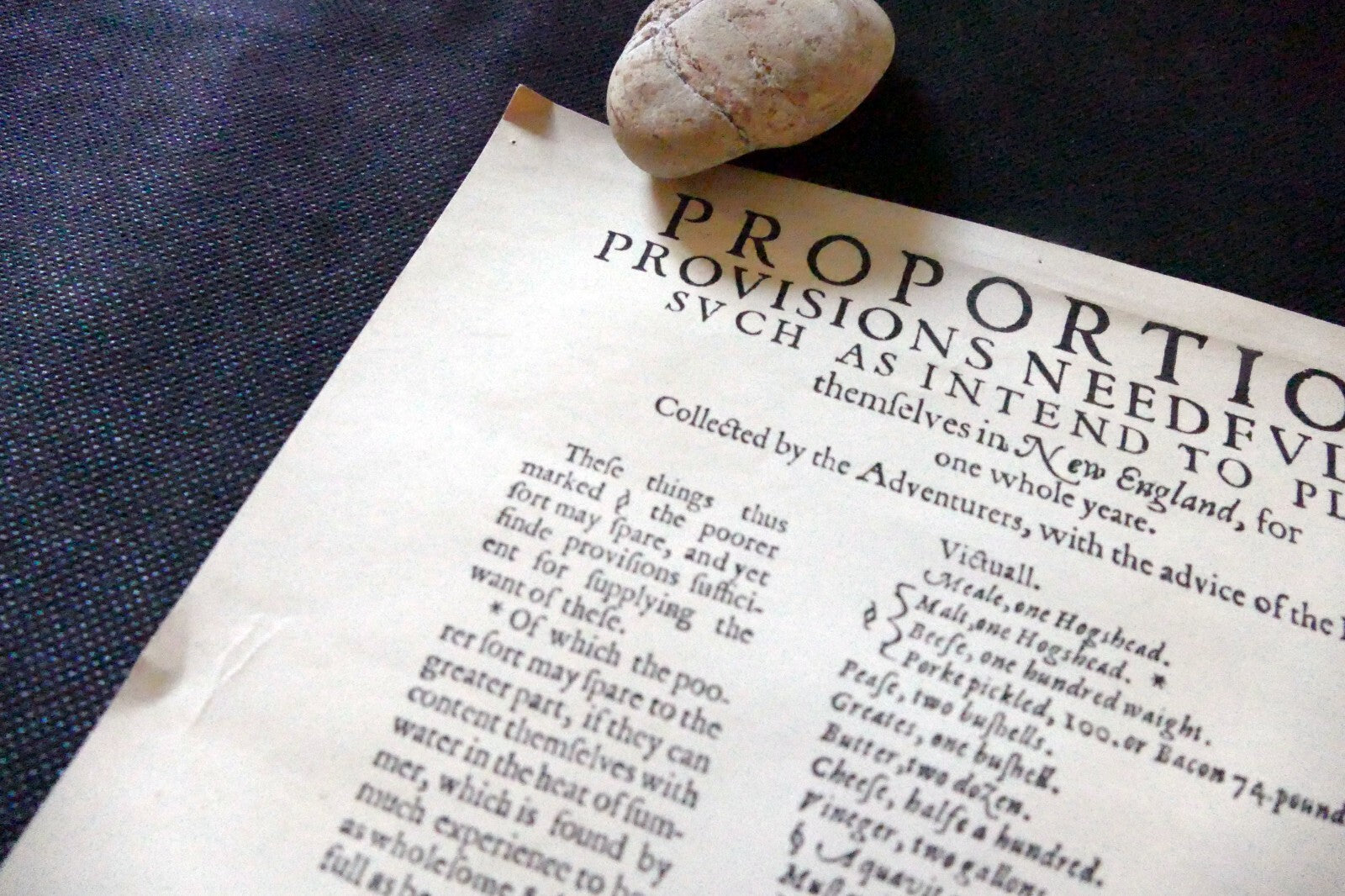 List of Provisions Needfull to Plant New England for a year Poster 1630 reprint