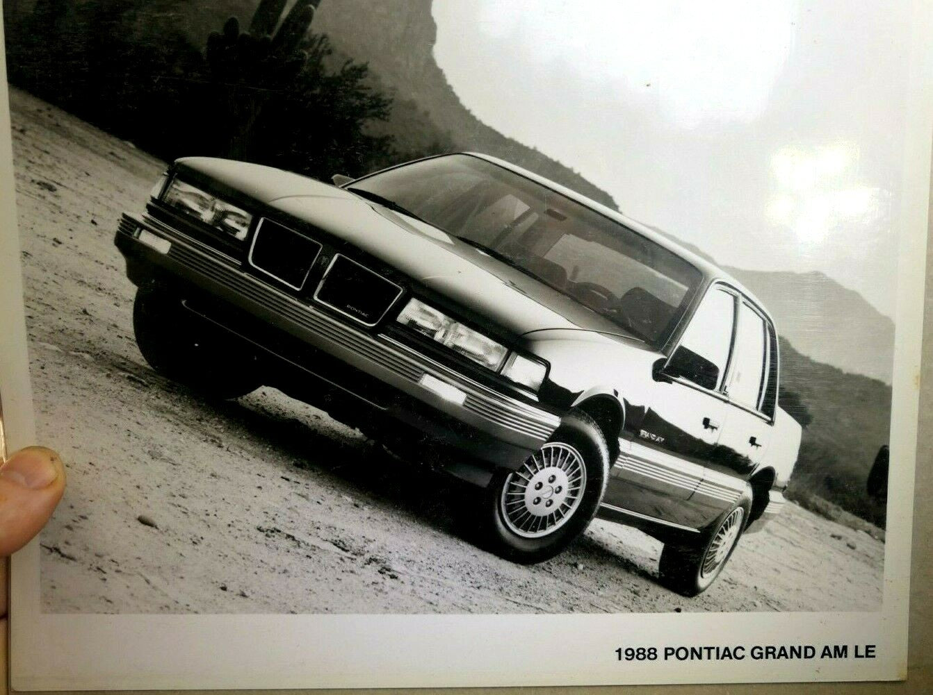 Pontiac 1988 grand am le dealership advertisement picture 8x10" picture photo