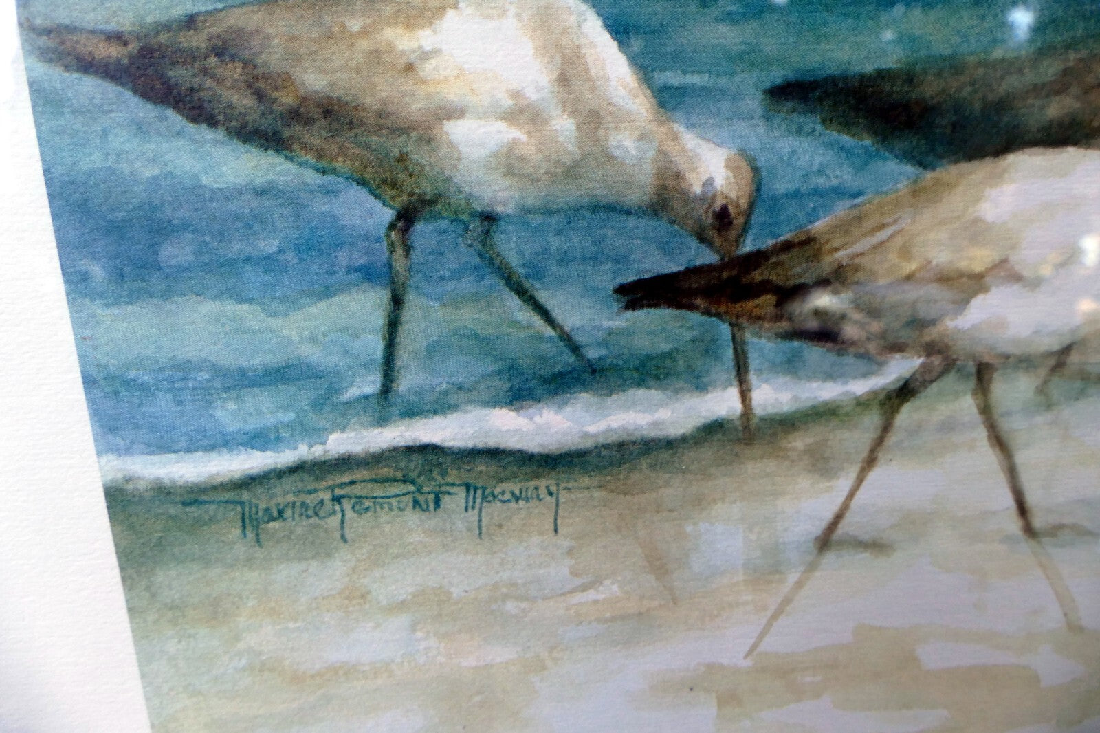 Artist Maxine Remont Macway Wildlife Art Shorebirds “Sandpipers”  Print