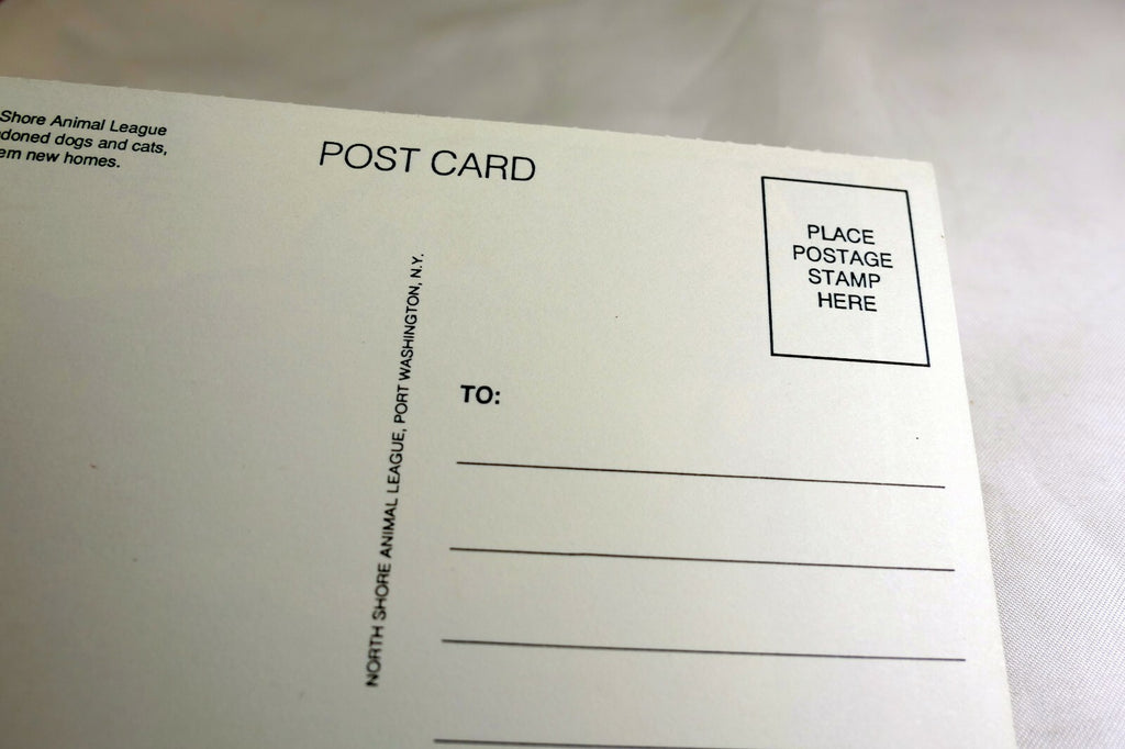Just a Note Postcard Animal Shelter North Shore League Adopt a Pet Kitten 1980's