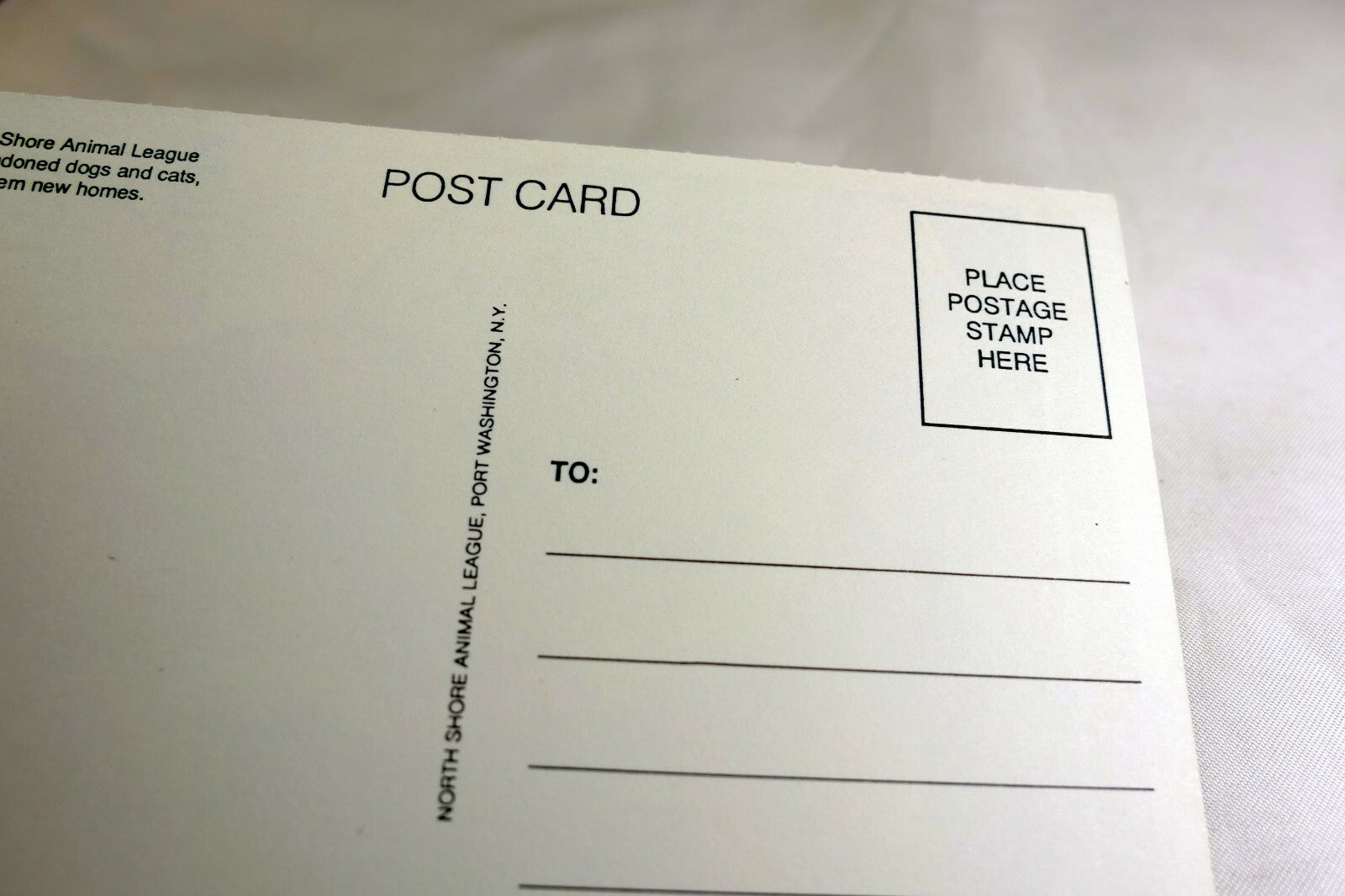 Just a Note Postcard Animal Shelter North Shore League Adopt a Pet Kitten 1980's