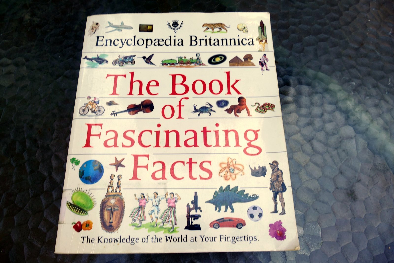The Book of Fascinating Facts Encyclopedia Britannica  1992 paperback for kids