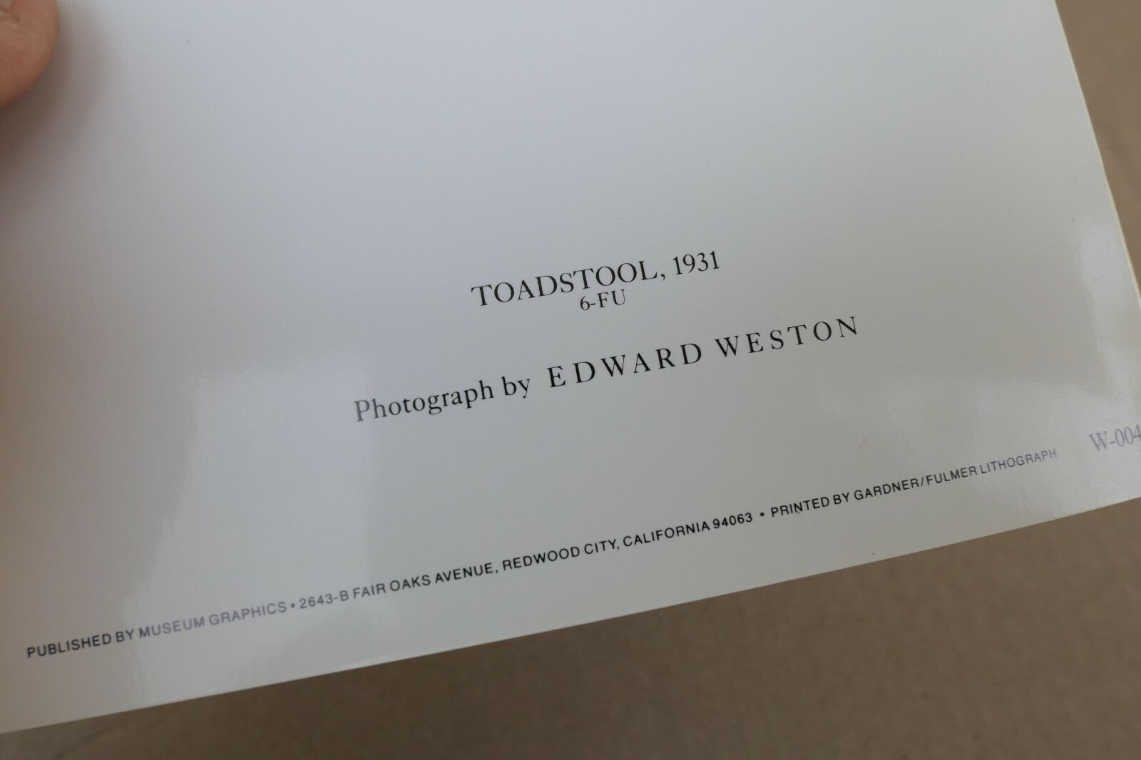 Toadstool 1931 6-FU Photograph by Edward Weston greeting card unposted W-004-75