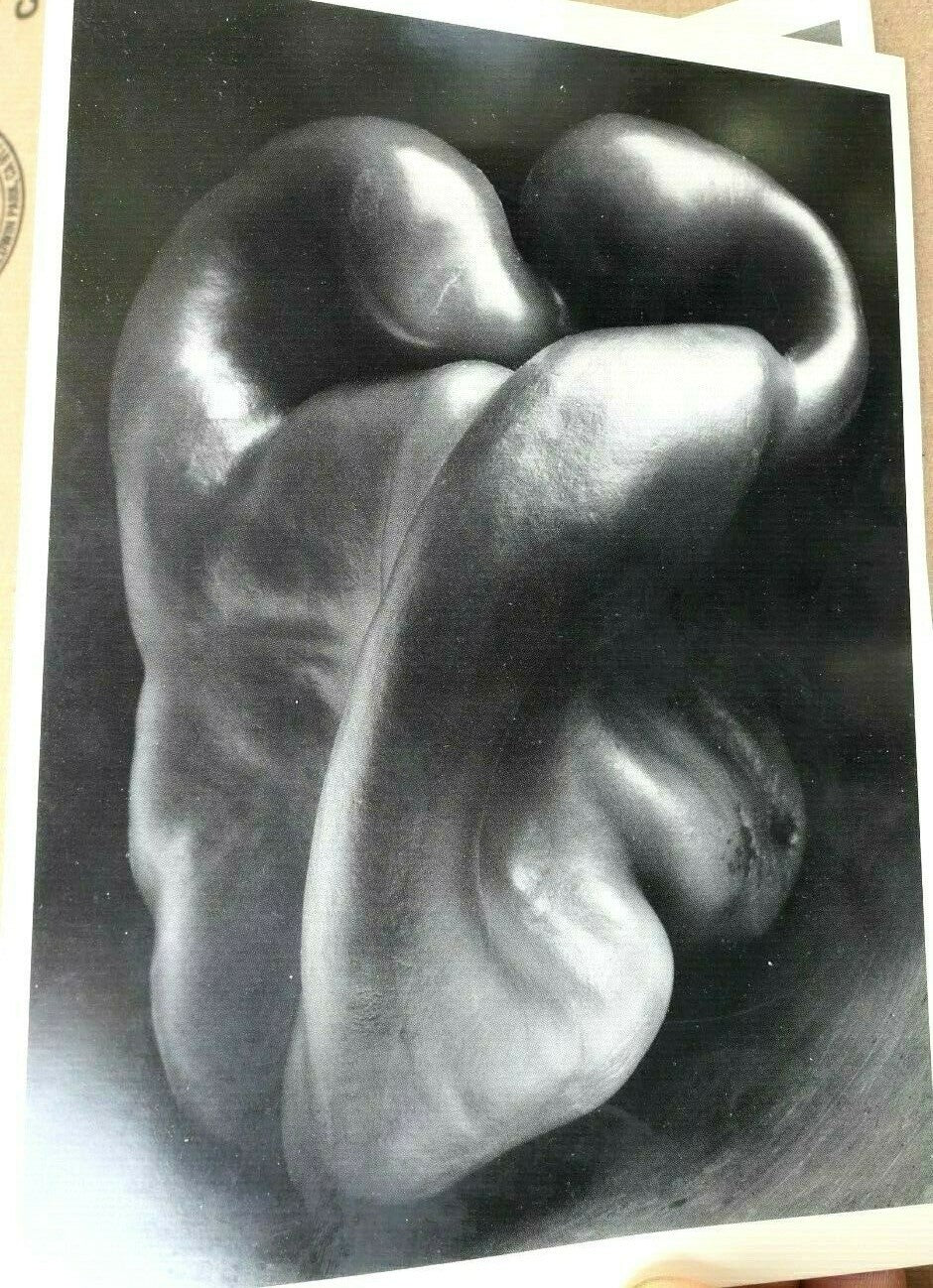 Pepper 30 p 1930 photograph by edward weston unposted ew 003 85 greeting card