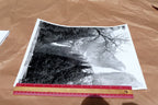 Yosemite California 11X14" Black & white Picture Photo Valley Waterfall cascades
