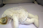 TY Beanie Babies "Mrs" USA 8" White Teddy Bear for Wedding Anniversary bride