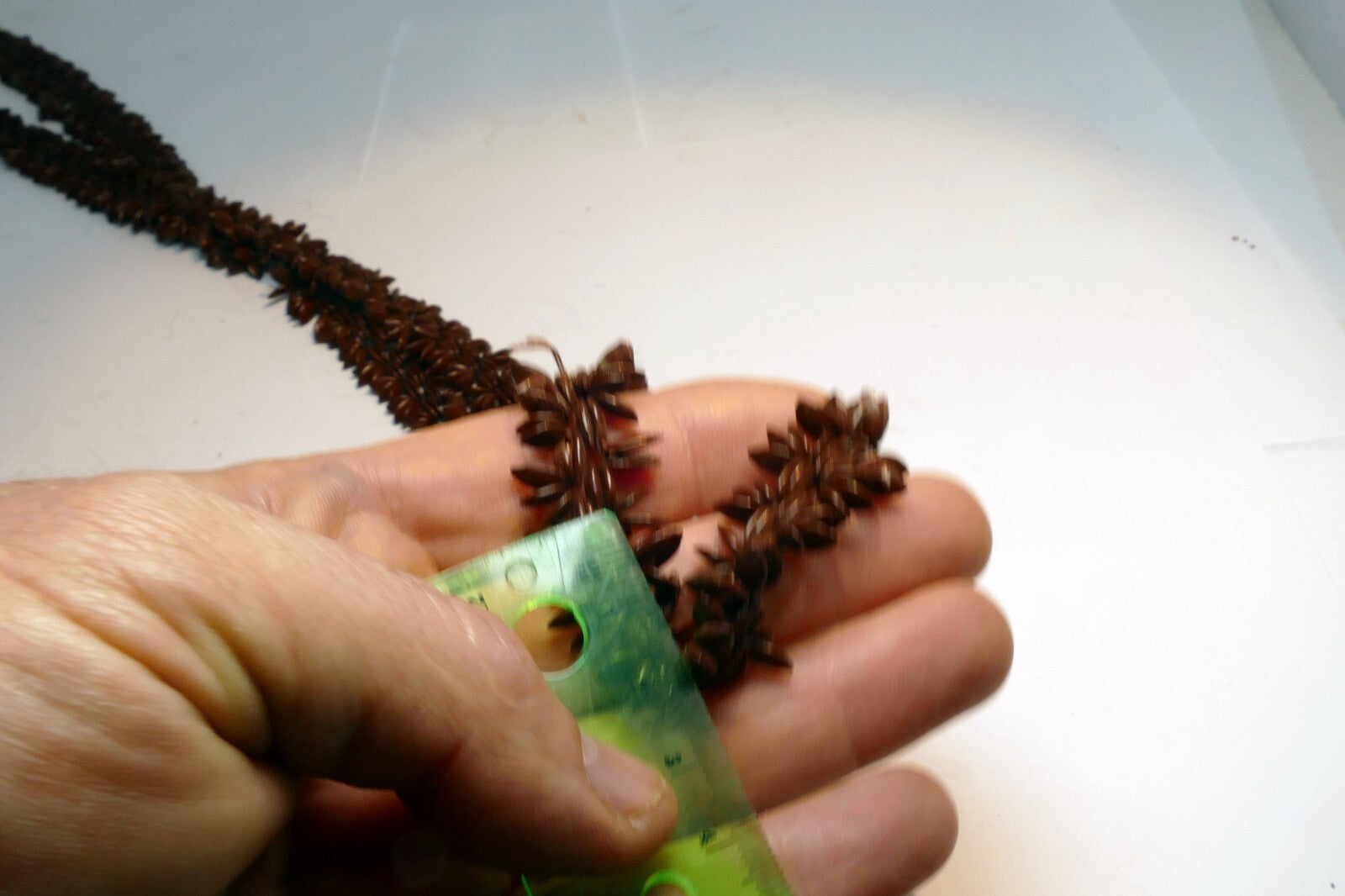 Brown Hawaiian Koa Seed Lei Single Strand Necklace 24" Boho Jewelry