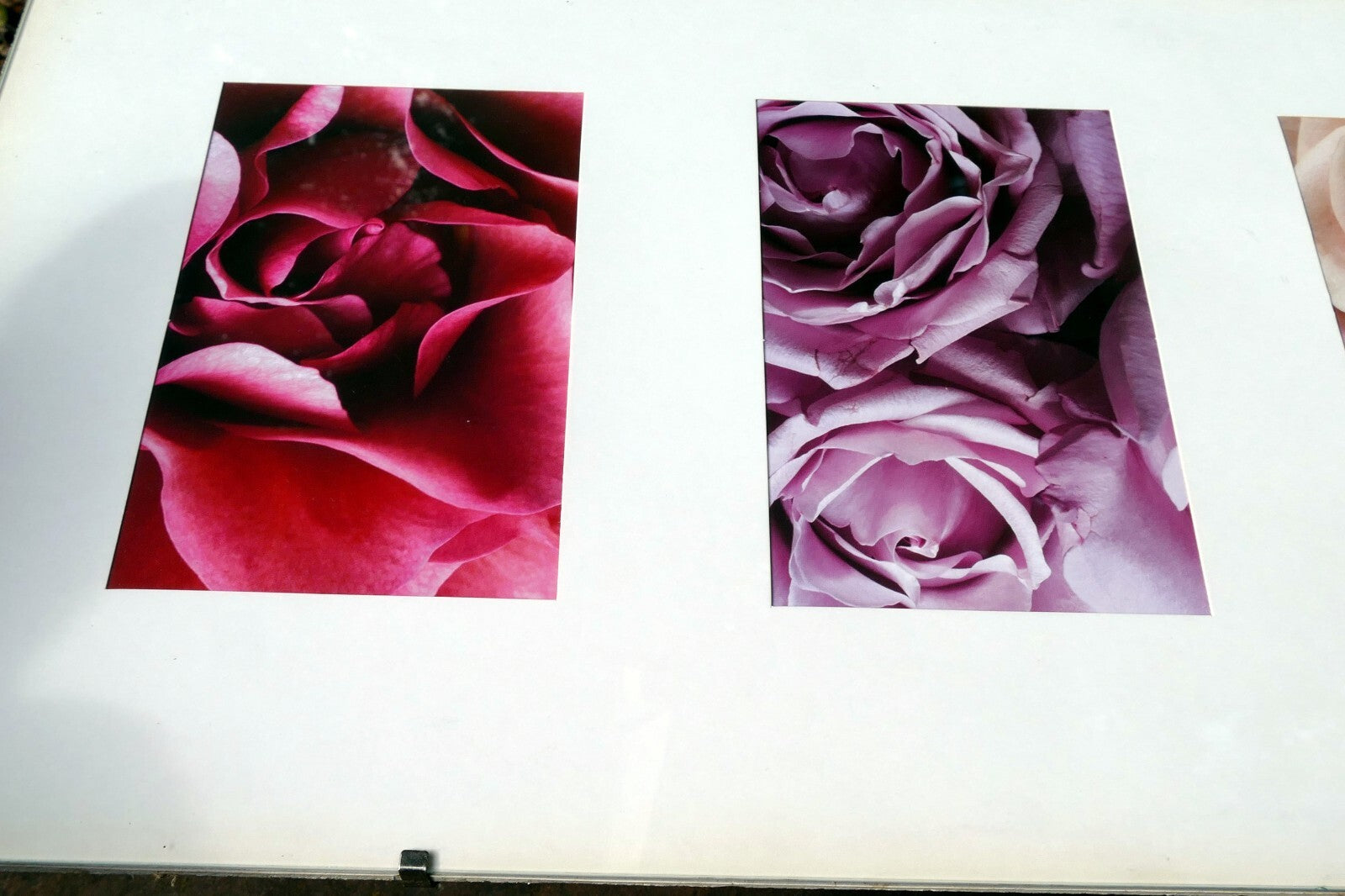 Rose photo art by Christian Sarramon framed with glass 24X10" large collage