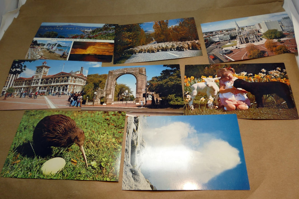 1970 80's postcard unposted new zealand auckland landscapes kiwi sheep