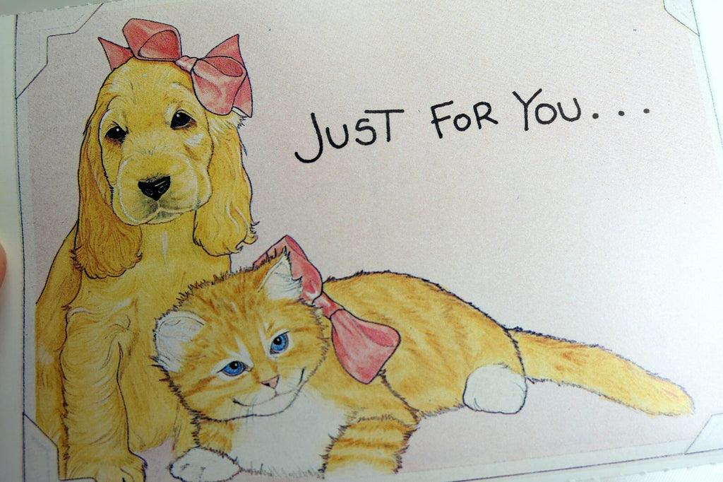 Just for you get well postcard animal shelter north shore league dog cat